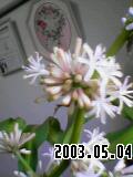 yu8