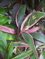 t9