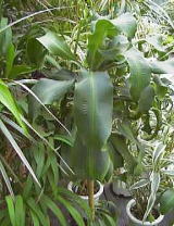 f5