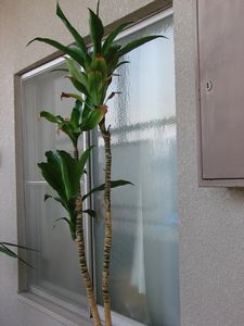 hZi@2010-1-1