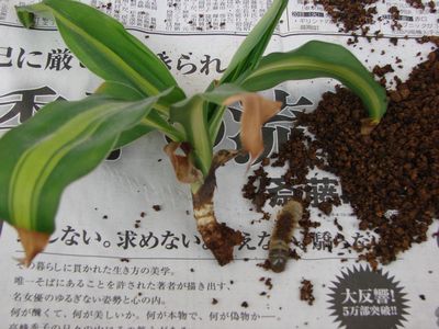 hZi@2010-1-5