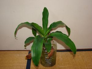 111-3