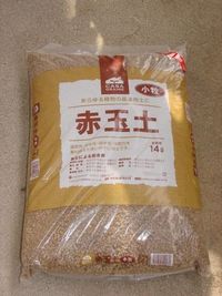 eko111-10