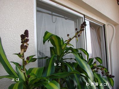 2013-4
