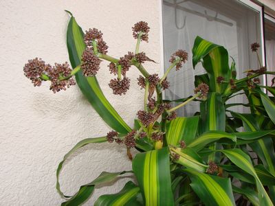 eko139