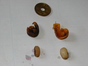 GR20142-4