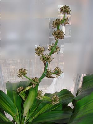 GR20145