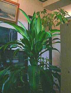 2002b6-5