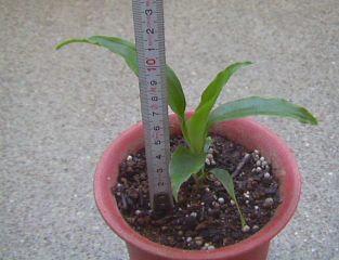 2003m1-3