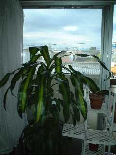 2004c3-1