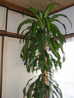 2005c2-2