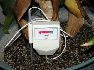 2006k2-4