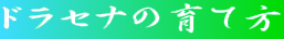 hZïĕ