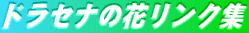 hZỉԃNW2